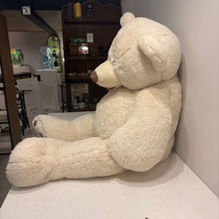 くま　ぬいぐるみ　コストコの画像