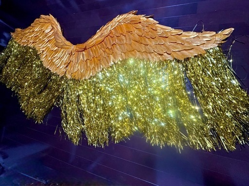 ベリーダンス、サンバ、ハロウィン、羽根ウィングコスチューム