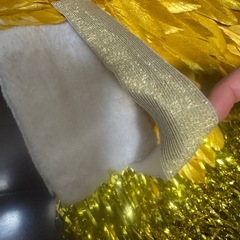 ベリーダンス、サンバ、ハロウィン、羽根ウィングコスチュームの画像