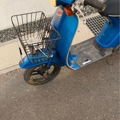 タクティの画像