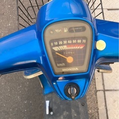 タクティの画像