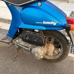 タクティの画像