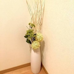 ニトリ ドライウィロー テールリードつき の画像