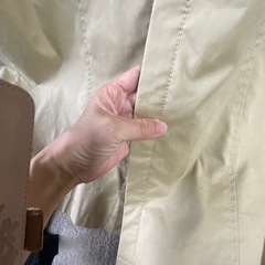 agnes bの画像