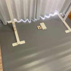 バレエ リノリウム　マーティの画像