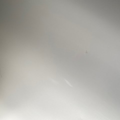バレエ リノリウム　マーティの画像