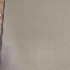 バレエ リノリウム　マーティの画像