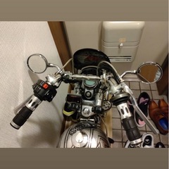 モンキーの画像