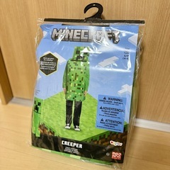 【マイクラ】仮装セットの画像