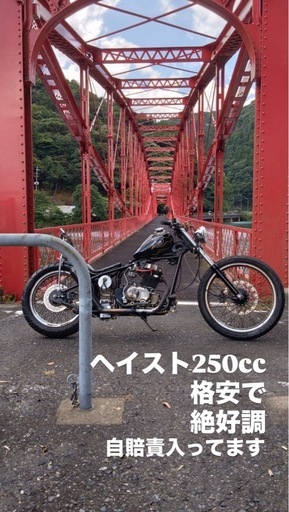 ヘイスト250cc
