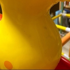 きいろロディの画像