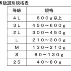 31茨城県産　紅はるか　5キロ（1箱）の画像