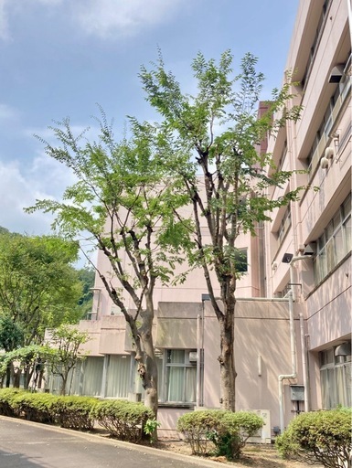 植木屋　優良店　水郷造園