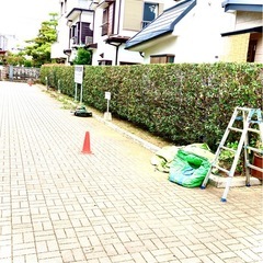 植木屋　優良店　水郷造園の画像