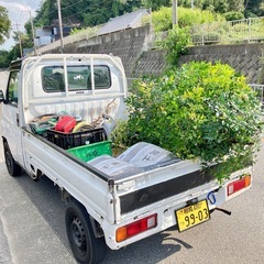 植木屋　優良店　水郷造園の画像