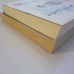 君たちはどう生きるか 2冊セットの画像