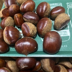 購入者様決定！！最終^_^揖斐川町の生栗の画像