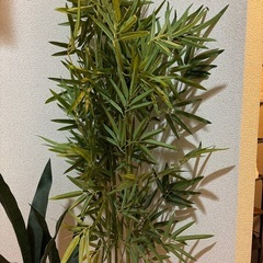 人工観葉植物の画像