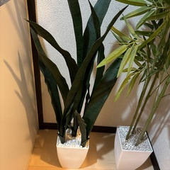 人工観葉植物の画像
