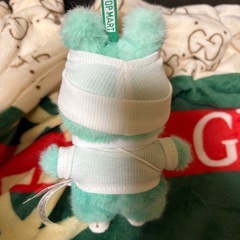 ラブブ LABUBU 緑 セットの画像