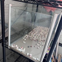 水槽の画像
