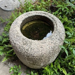 庭木、石、無料で持っていってもらえませんか？の画像