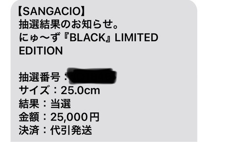 値下げ！SANGACIO 25.0cm 限定版