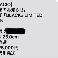 SANGACIO 25.0cm 限定版の画像