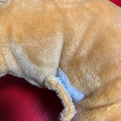 ペットのおもちゃぬいぐるみの画像