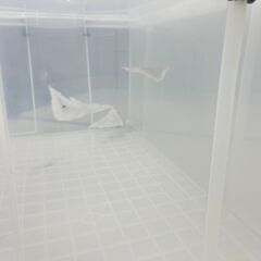 プラスチックケース　まとめて１４個売りますの画像
