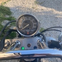 希少車 スティード600の画像