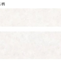 フローリング　ウッドテック　アネックス サニタリー　(エクルオニキス柄) HAS1A902Eの画像