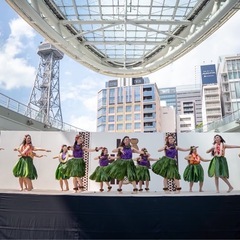 フラダンス🌈大治/ 金曜　夜クラス　無料体験募集してます🎶の画像
