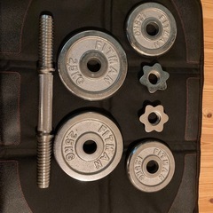 鉄アレイ(10kg)の画像