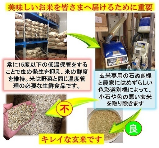 数量限定キャンペーン！　令和7年産　減農薬　新潟こしひかり玄米30kg　新潟県三条市旧しただ村産　減農薬　特別栽培米100%白雪美人　