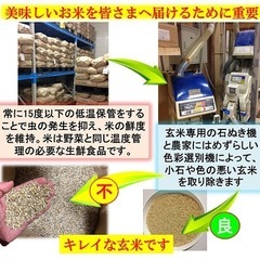令和7年産　減農薬　新潟こしひかり玄米30kg　新潟県三条市旧しただ村産　減農薬　特別栽培米100%白雪美人　グルテンフリー　送料無料の画像