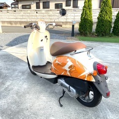スクーピー USメトロポリタン限定からカラーの画像