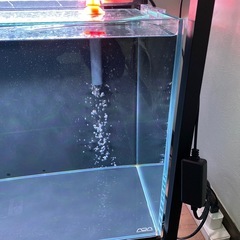 ADA水槽セットの画像