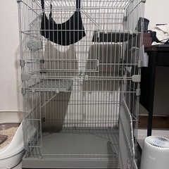 キャットゲージ/グレージュの画像