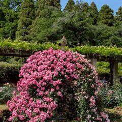 中央線沿線のお店でお食事会🍽やカラオケ会🎤 − 東京都