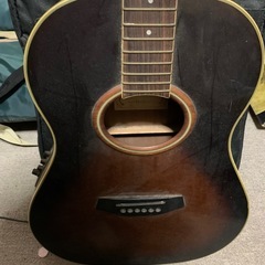 引取先決定 ・Nashvilleの画像