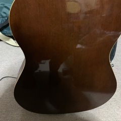 引取先決定 ・Nashvilleの画像
