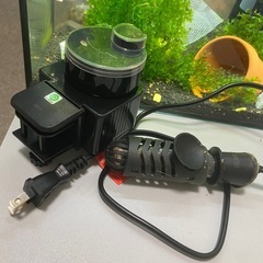 水槽セットすぐ、そのまま使える。レッドグッピー(20匹ぐらい)。 の画像