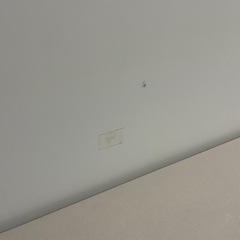ニトリ シングルベッドフレーム（無料・1台または2台まとめてOK）の画像