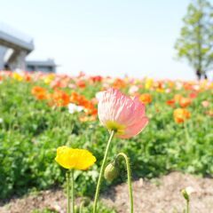 カメラ撮影行きましょう✨