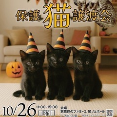 🎃🐱ねこまる🐱🎃保護猫譲渡会🐈🐈‍⬛🐱ファミーユ尾ノ上ホール
