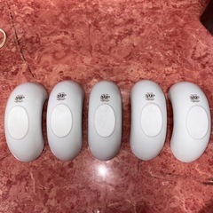 GYP1022 アダム&イブ 波型小鉢 5個セット 金縁の画像