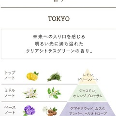 【袋、スプーン付き】SABON ボディスクラブ 320gの画像