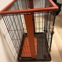 猫小型犬ゲージの画像