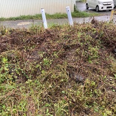 コンクリート🧱ブロック　一つあたりのお値段の画像